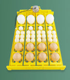 24 Eggs Incubator 12V 110V 220V Egg Tray Eggs Turning Automatic Egg Hatching Incubator for Quail  Goose Duck Bird Poultry