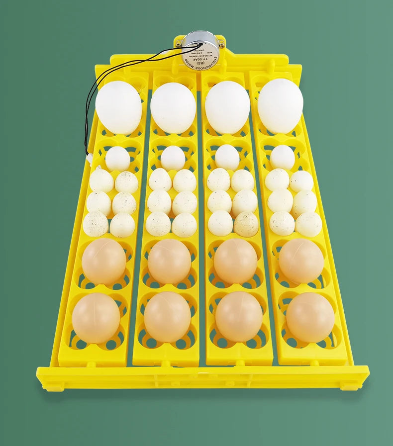 24 Eggs Incubator 12V 110V 220V Egg Tray Eggs Turning Automatic Egg Hatching Incubator for Quail  Goose Duck Bird Poultry