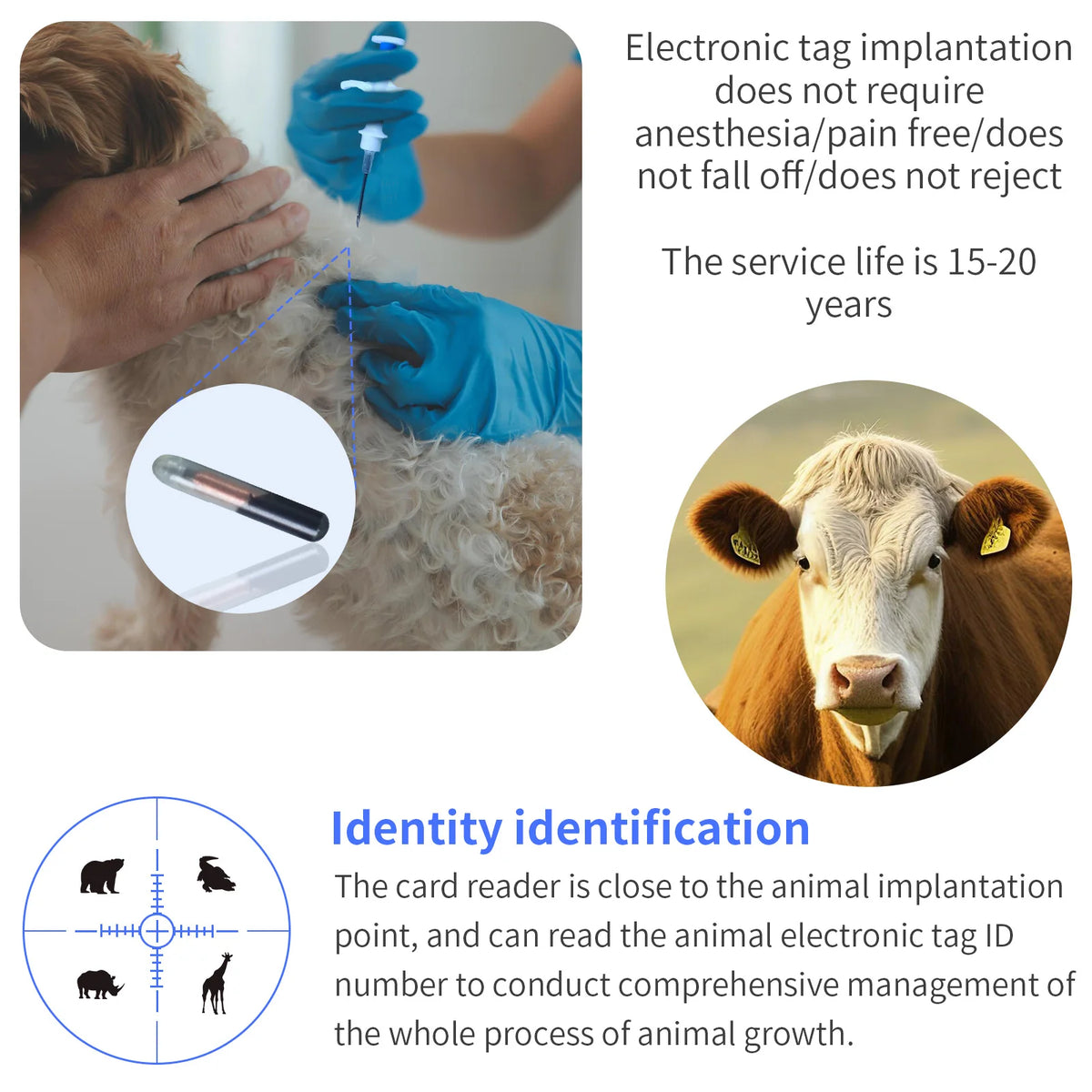 RFID Pet Microchip Tags 134.2kHz EM4305 for Cats & Dogs, ICAR, 20pcs, 3 Sizes