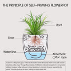 Automatic Self Watering Flower Plants Pot Gardening Flower Pots Living Room Decor Plastic Planters Home Garden Planters Desktop