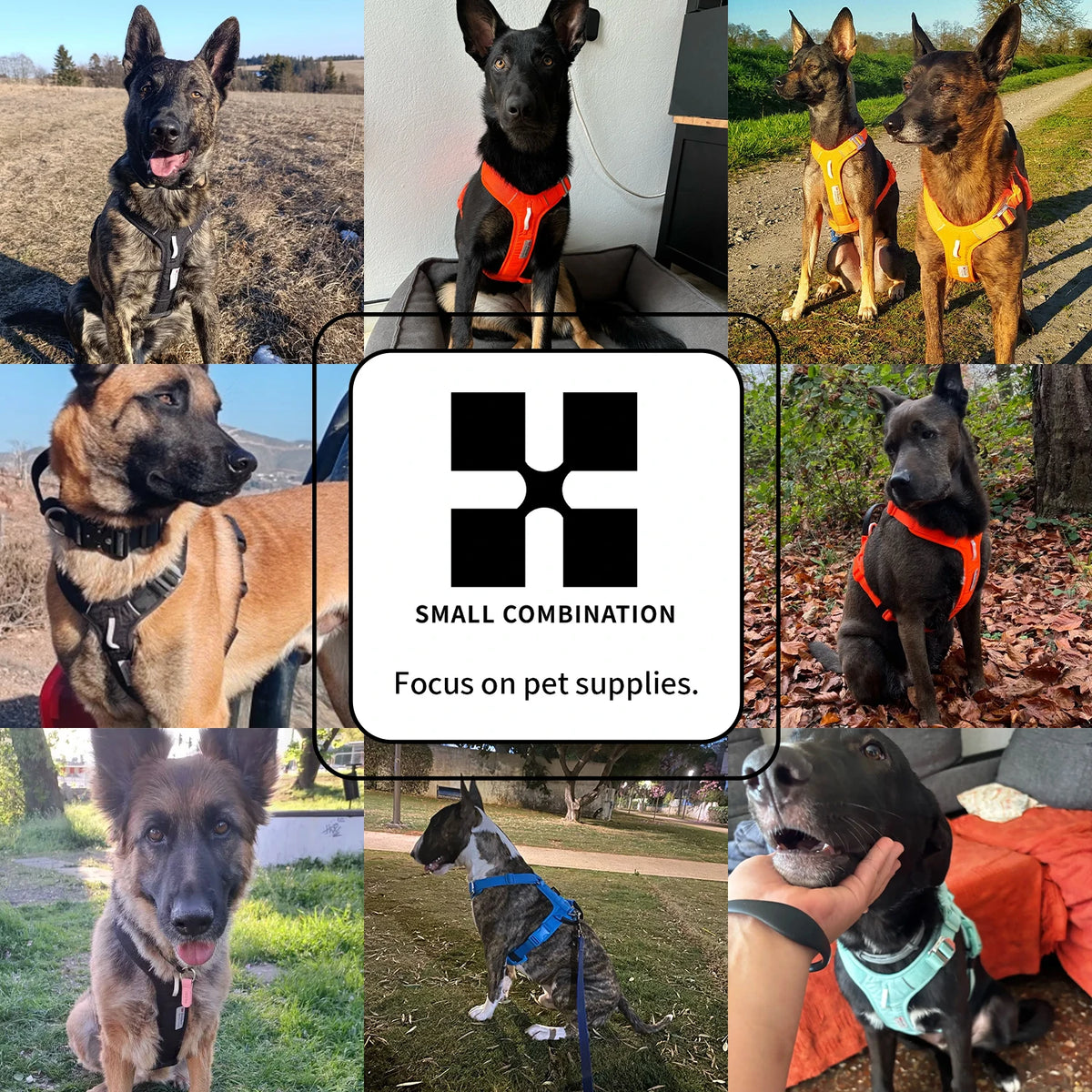 SMALL COMBINATION Pet Harness No Pull Nylon Reflective Dog Harness Adjustable Comfortable Control Walking Running  accessories