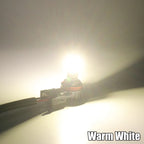 2pcs LED Headlight Bulbs 20000LM CSP Chip 6500K White, Gold/Warm White Options