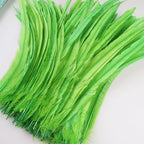 50Pcs 35-40cm Rooster Tail Feathers for Crafts Carnival Accessories Natural Long Plumes Chicken Decoration Feather Headdress
