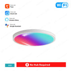 White Wifi verison