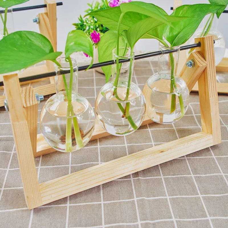 1pc, Tabletop Glass Planter Propagation Station Hydroponic Plant Vases In Wooden Rack Terrarium For Plants, Clear Flower Pot For