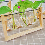 1pc, Tabletop Glass Planter Propagation Station Hydroponic Plant Vases In Wooden Rack Terrarium For Plants, Clear Flower Pot For