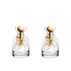 Four-piece Avocado Seed Starter Vase- Grow Your Own Avocado Tree Unique Glass Planting Pot for Gardening Lovers Start Your Green