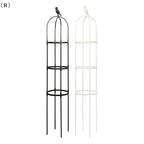 Plant Climbing Support Trellis Stand 2-3 Tier, White or Black, for Tomato Vine Plants