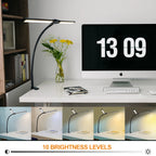 Home Office LED Desk Lamp Double Head Stepless Dimming Eye-Caring Reading Lights 3 Color Mode Flexible Adjustable PC Table Lamps