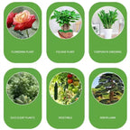 200g Garden Water-soluble Fertilizer For Plants Flowers Bonsai Succulent 20-20-20+te Npk Compound Fertilizer With Trace Element