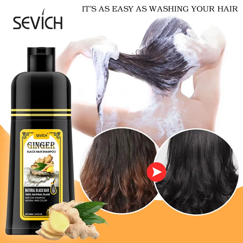 Black Hair Dye Shampoo with Ginseng Extract, 500ml, 5 Min Gray Coverage for Men & Women