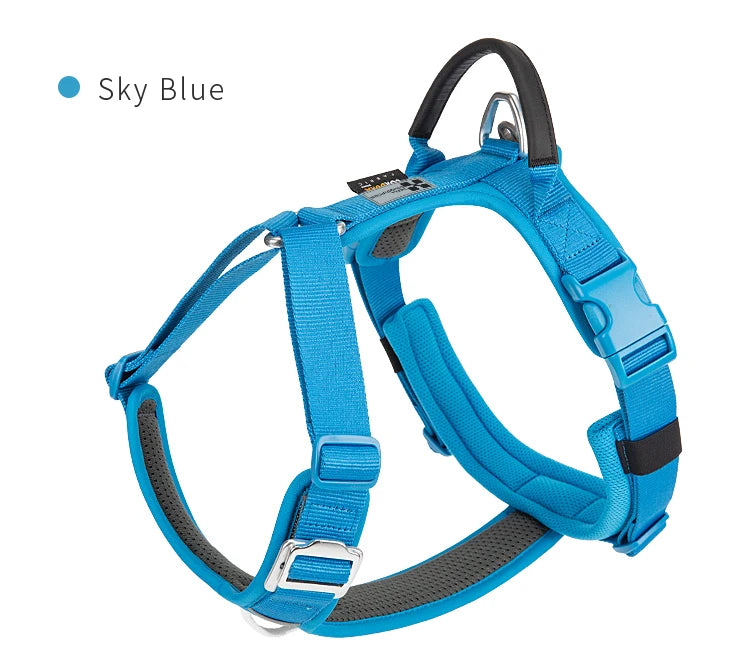 Blue / S
