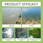 Natural Algae Control Pond Treatments Fish Safe Effectively Eliminates Algae & Reduces Sludge. Sparkling Water Reflection