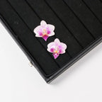 "Resin Coated Natural Dried Phalaenopsis Orchid Flowers - DIY Craft Supplies for Jewelry Making (Earrings/Brooch) Real Preserved