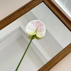 5/10/20pcs 3D Printed Anthurium Artificial Flower Flamingo Palm Wedding Hall Layout Wedding Home Decoration Artificial Flower
