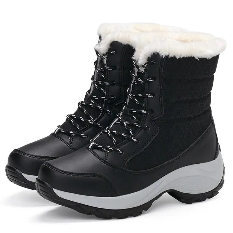 Black / 37