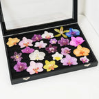 "Resin Coated Natural Dried Phalaenopsis Orchid Flowers - DIY Craft Supplies for Jewelry Making (Earrings/Brooch) Real Preserved