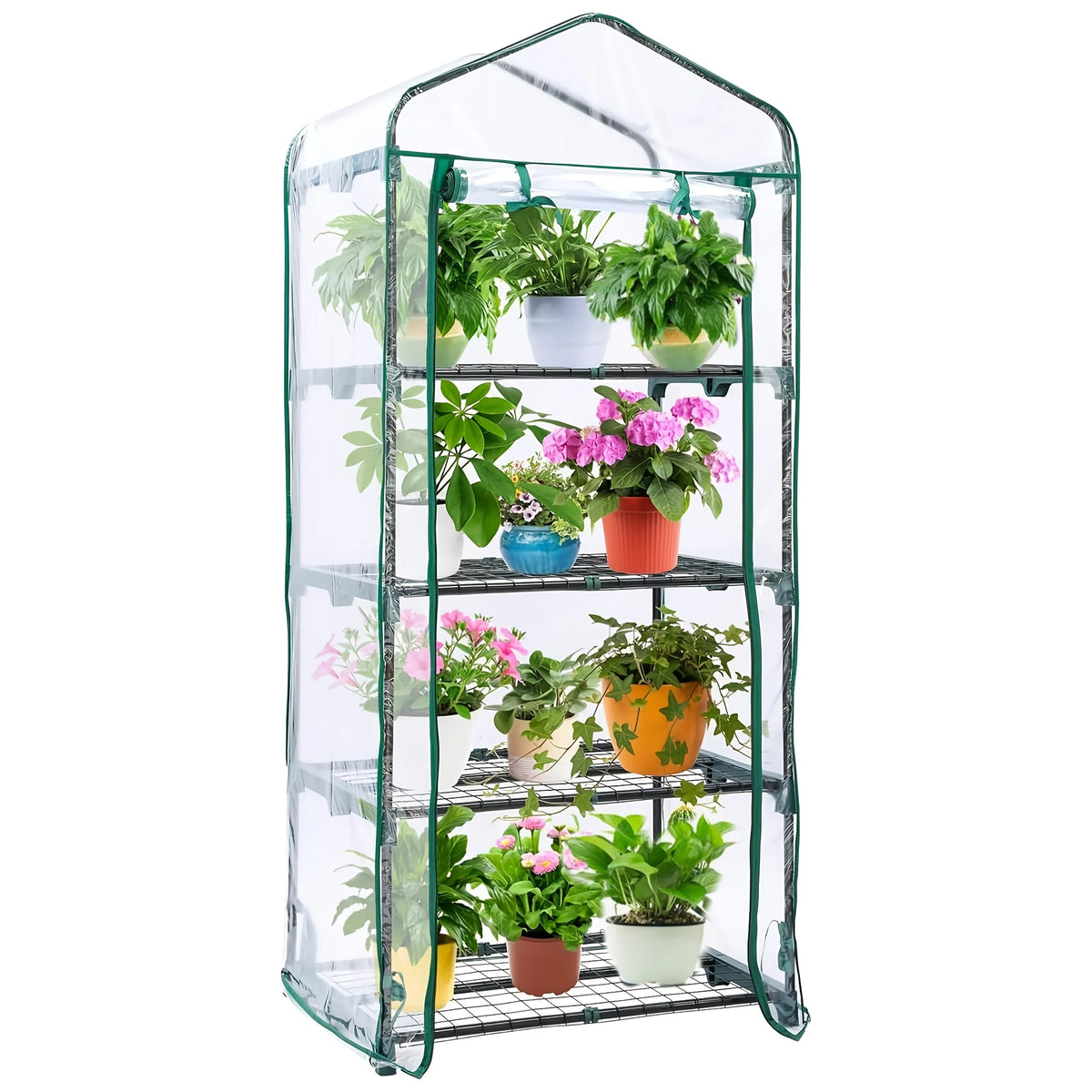 4 tier / United States