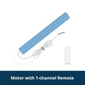 Motor with Remote 1