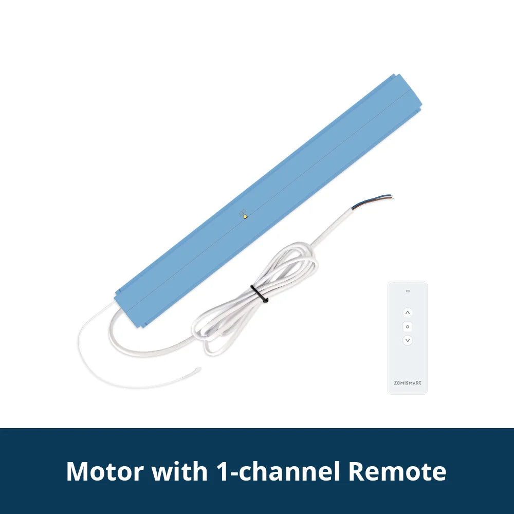 Motor with Remote 1