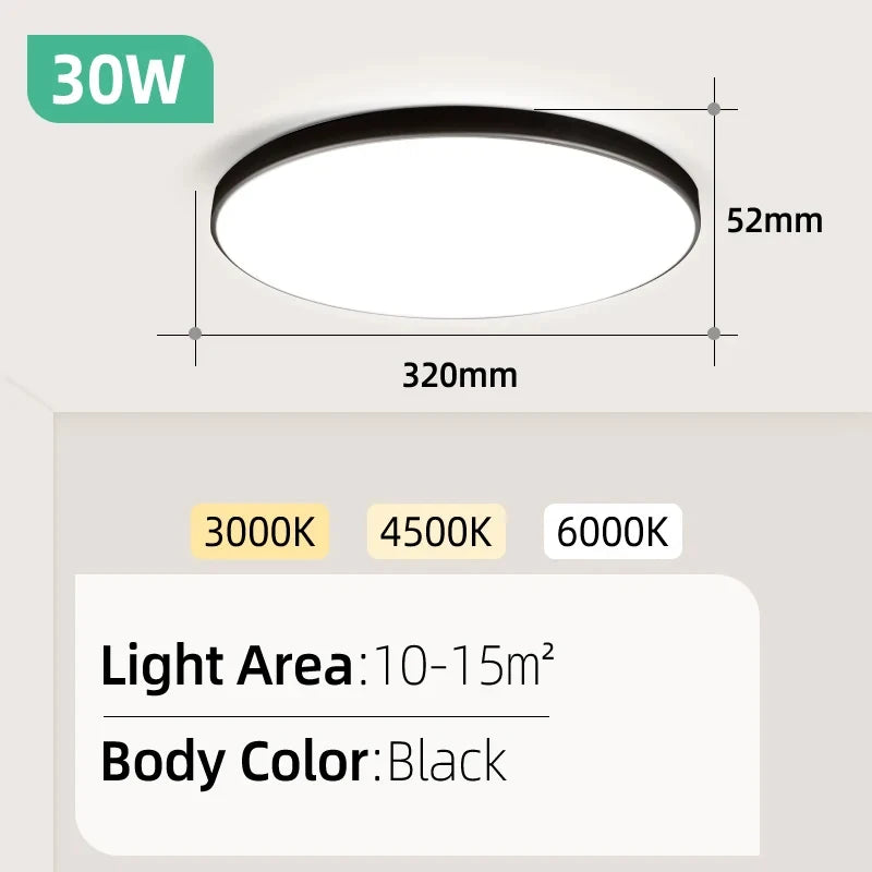 Black 30W 220V / 2PCS / Cold White