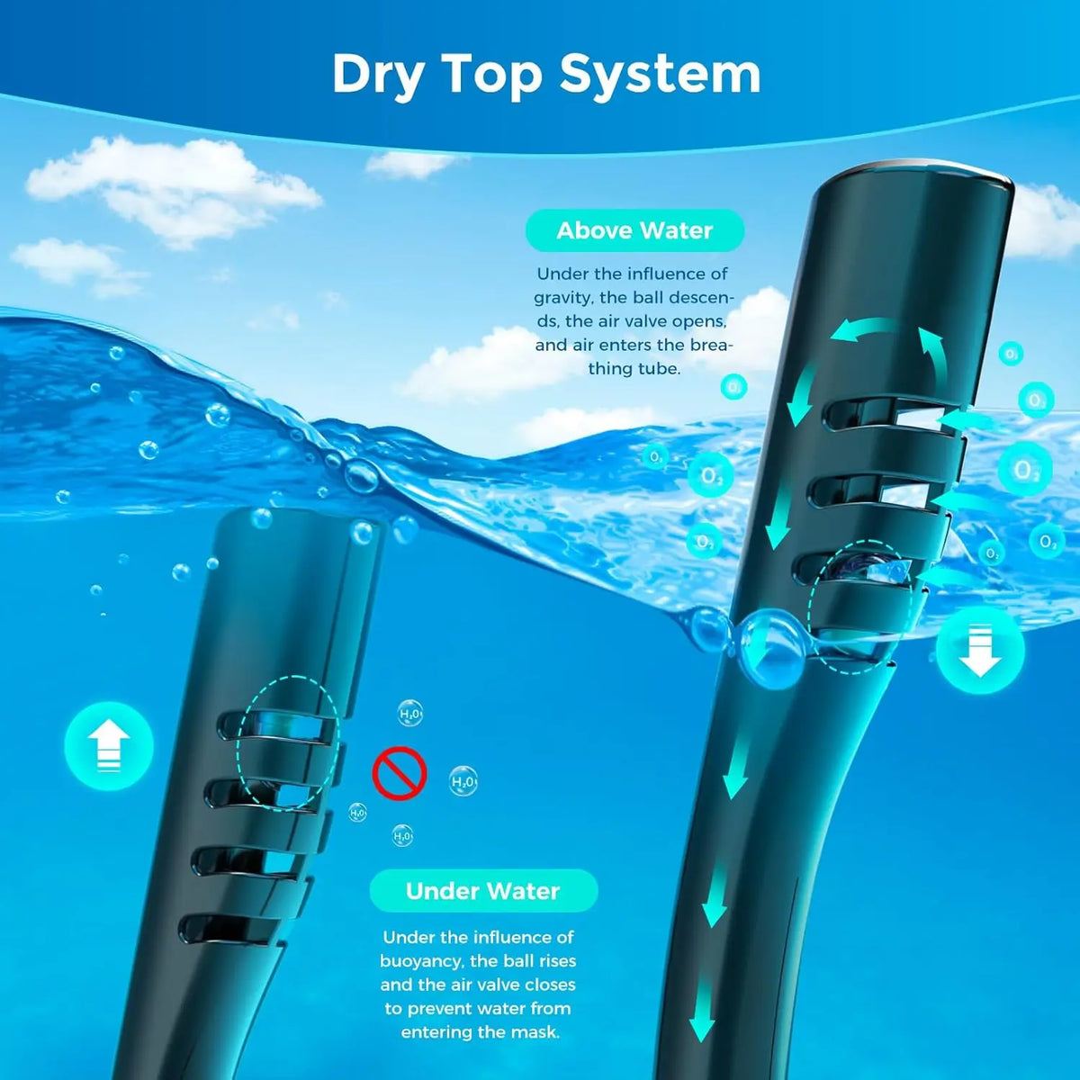 Adults Full Face Snorkel Mask Double Breathing Tube 180° Wide-Eye Panoramic Vision Advanced Anti-Fog Swim Leak-Proof Adventures