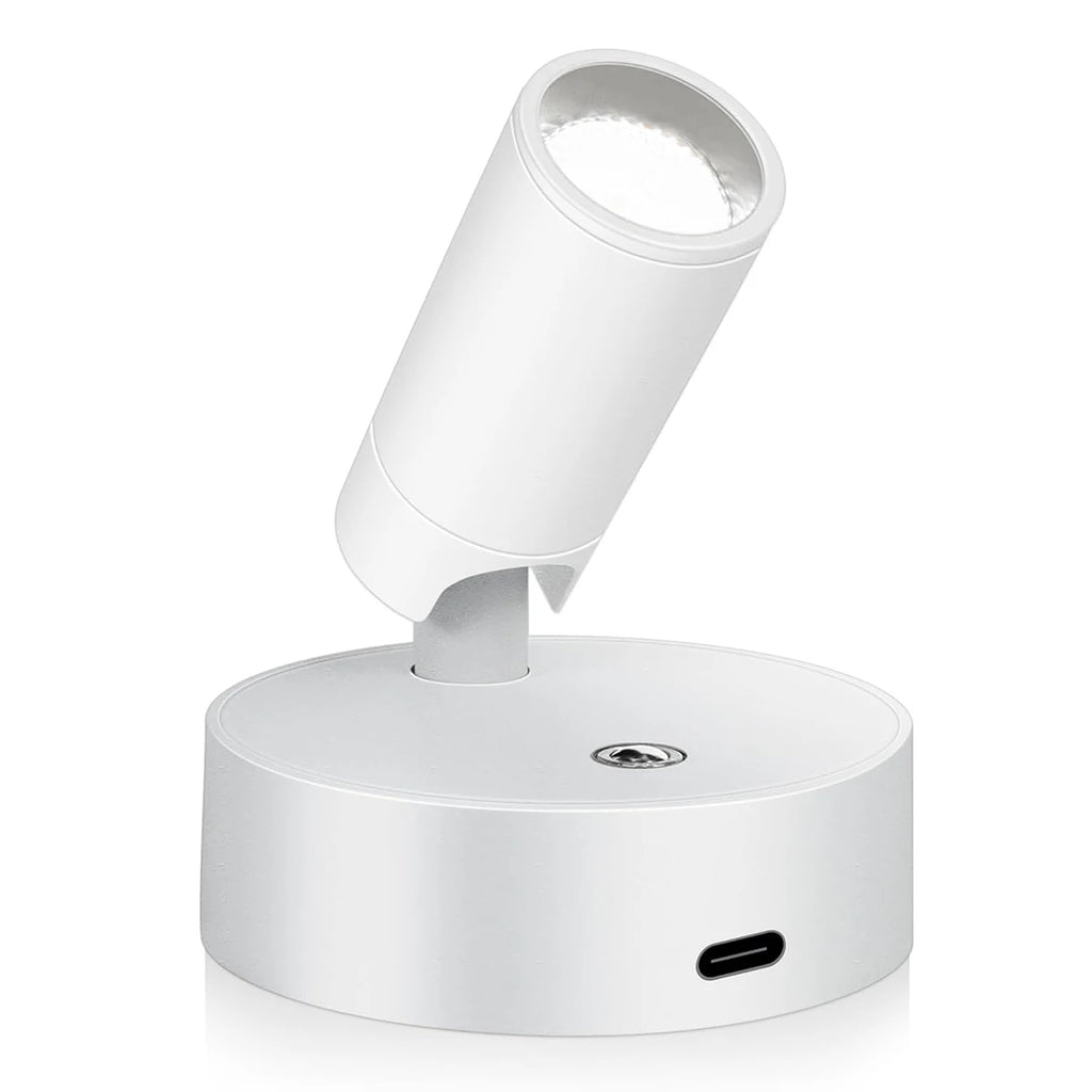 White Shell / 3 Color Dimming