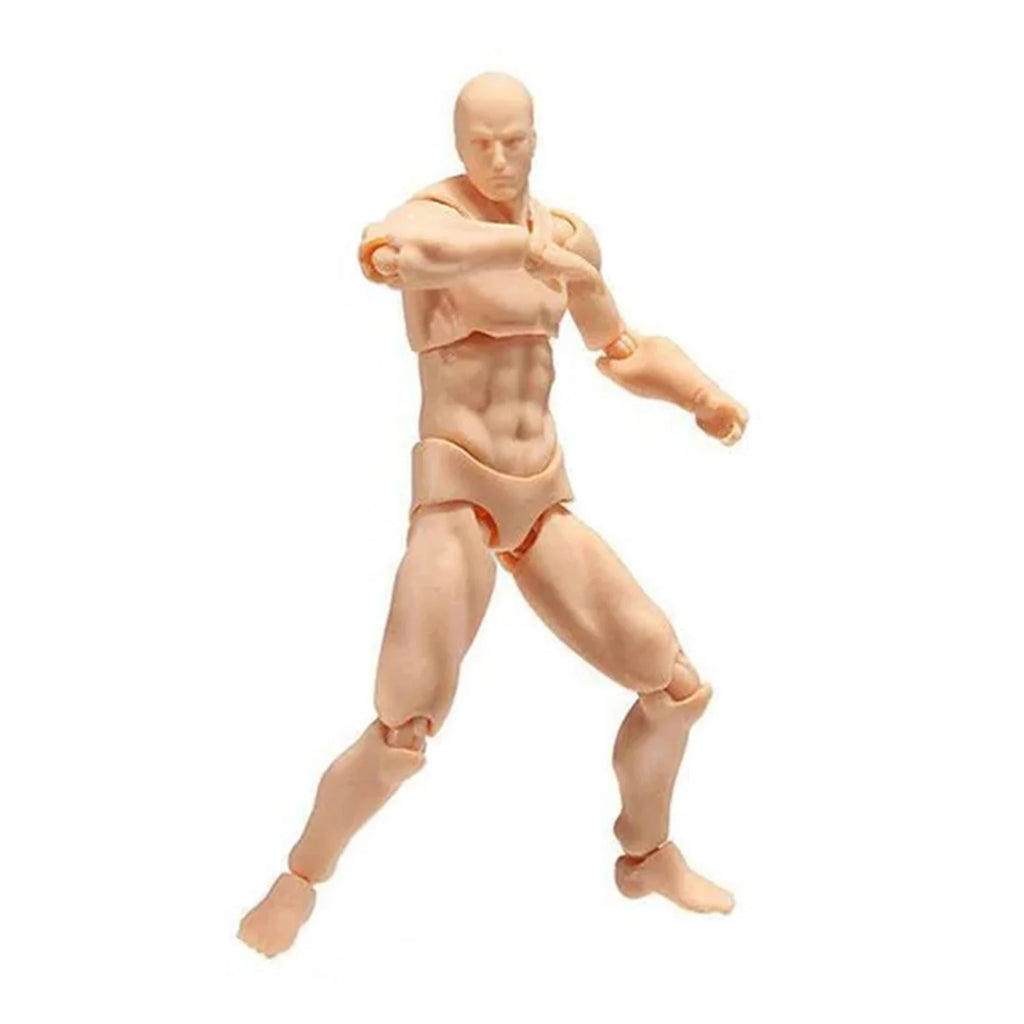 Male Female Body Figure Toy Movable Joints Drawing Mannequin Figure Models for Kids Scientific Cognitive Toys