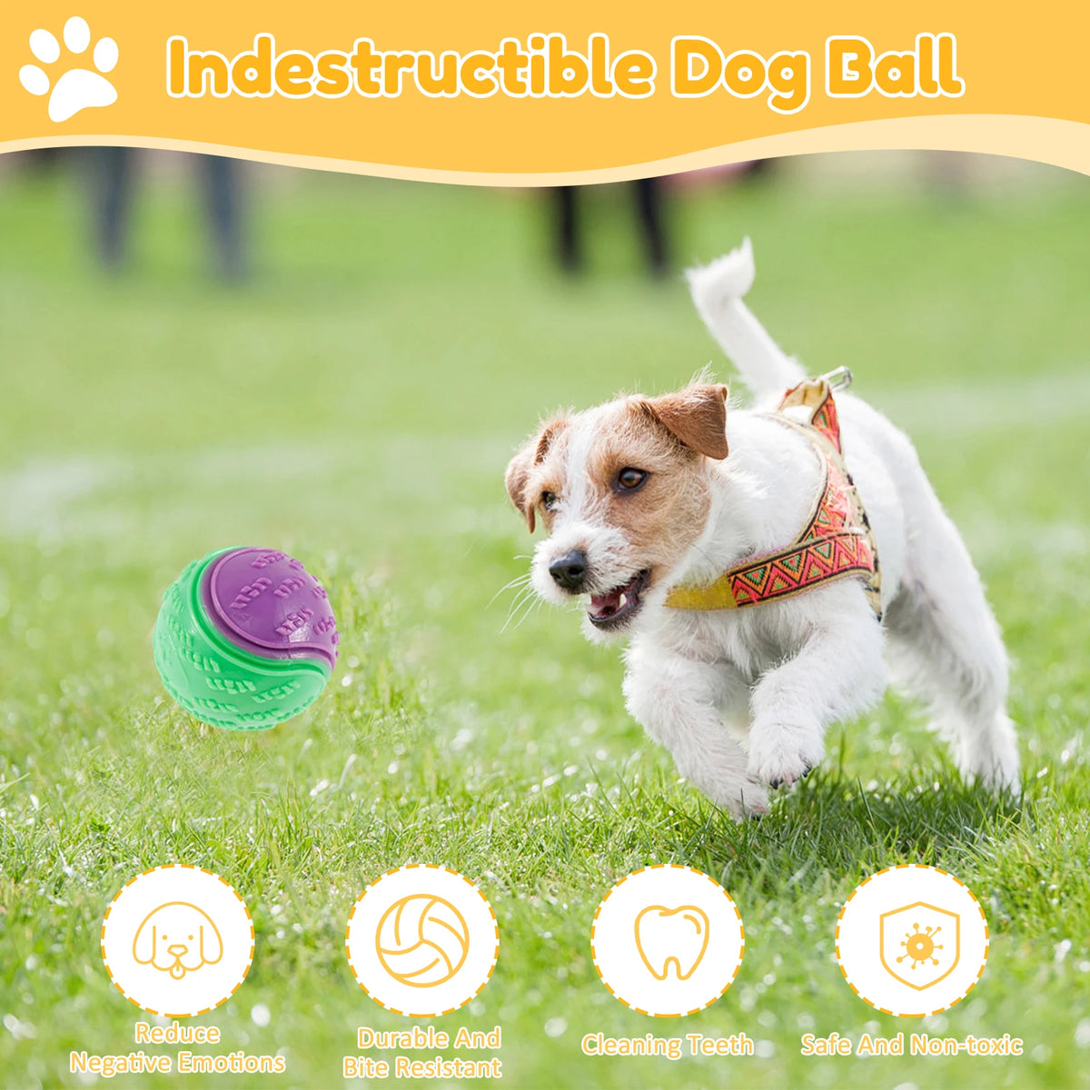 Squeaky Dog Balls Chew Toys Set, TPR Durable Interactive Teeth Cleaning, 6pcs