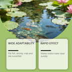 Natural Algae Control Pond Treatments Fish Safe Effectively Eliminates Algae & Reduces Sludge. Sparkling Water Reflection