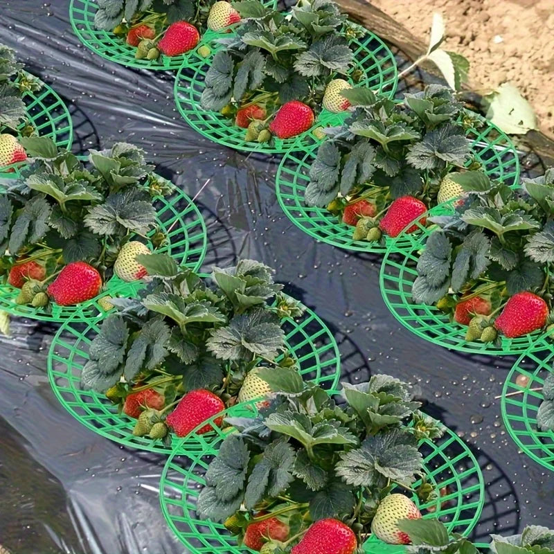 20/50Pcs Heavy-Duty Strawberry & Watermelon Planting Rack - Garden Support Frame with 3- Sturdy Design,Open Grid Drainage System