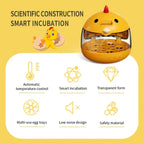 Egg incubator incubator light transparent window 5 eggs humidity control automatic temperature control manually turn the eggs