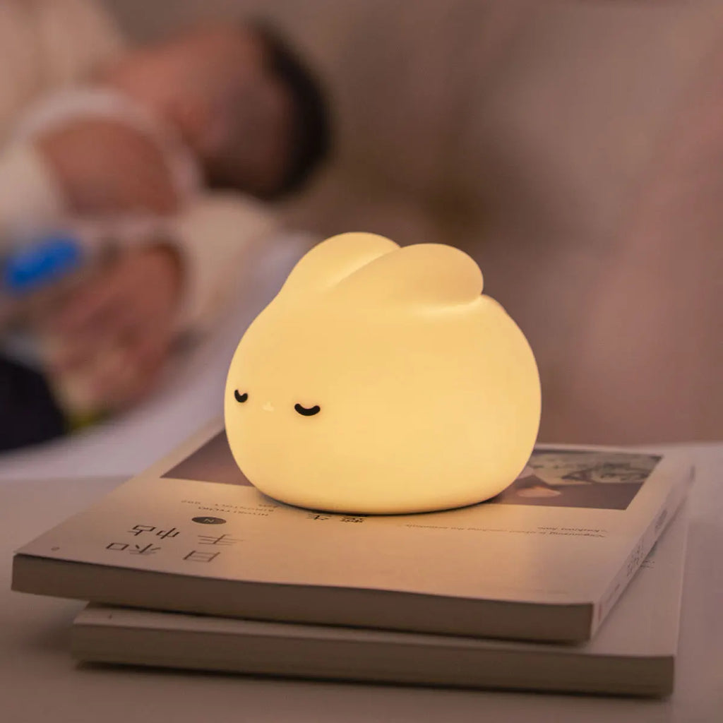 LED Night light Cute duck Cartoon animals Silicone lamp for children kid Touch Sensor Timing USB Rechargeable for birthday gifts