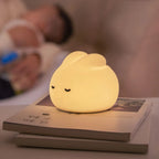 LED Night light Cute duck Cartoon animals Silicone lamp for children kid Touch Sensor Timing USB Rechargeable for birthday gifts