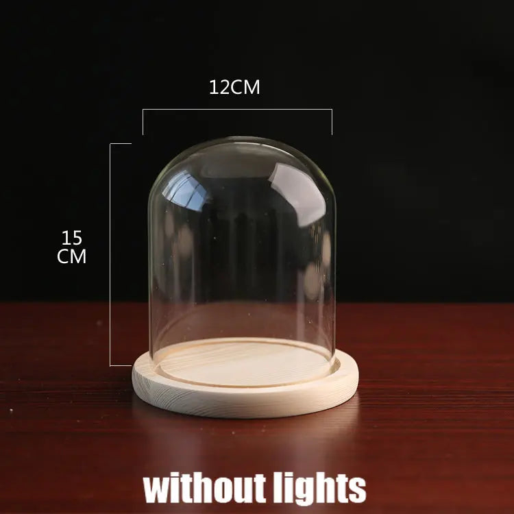 Tabletop Display Glass Cover Terrarium Container Decor Dry Flower Ornaments Craft Bell Jar Wood Base with Feet LED Light Holder