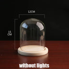 Tabletop Display Glass Cover Terrarium Container Decor Dry Flower Ornaments Craft Bell Jar Wood Base with Feet LED Light Holder