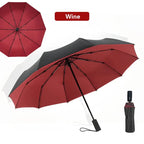 Windproof Double Layer Fully Automatic Resistant Umbrella