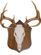Deer Trophy Shield Roe Solid Oak Trophy Plate Buck Wooden Shields for Deer Trophies Plaque Antler Mount Shield Plaque
