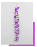 VIOLET/紫罗兰 / 30PCS