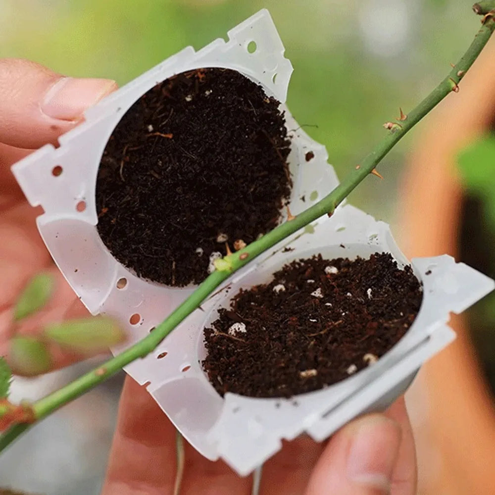 Air Layering Pods Plant Rooting Ball High Pressure Propagation Root Grow Box Graft Breeding Growing Case Planting Nursery Pot