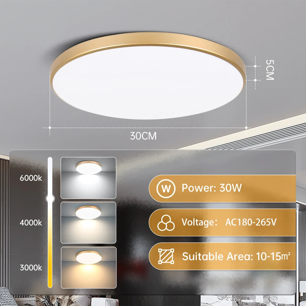 Golden Led Ceiling Lamp 220V Dustproof Ceiling Panel Lamp Indoor Bathroom Lamp for Living Room Decor Ultra-thin Ceiling Lights