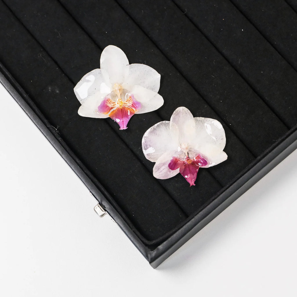"Resin Coated Natural Dried Phalaenopsis Orchid Flowers - DIY Craft Supplies for Jewelry Making (Earrings/Brooch) Real Preserved
