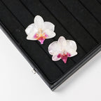"Resin Coated Natural Dried Phalaenopsis Orchid Flowers - DIY Craft Supplies for Jewelry Making (Earrings/Brooch) Real Preserved