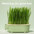not include seed
