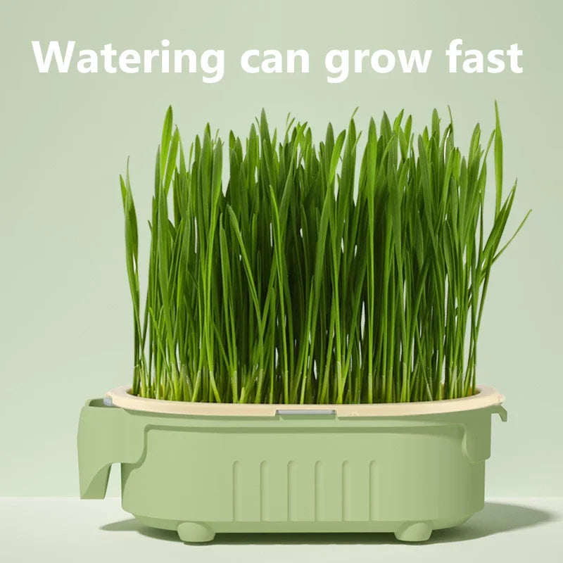 not include seed