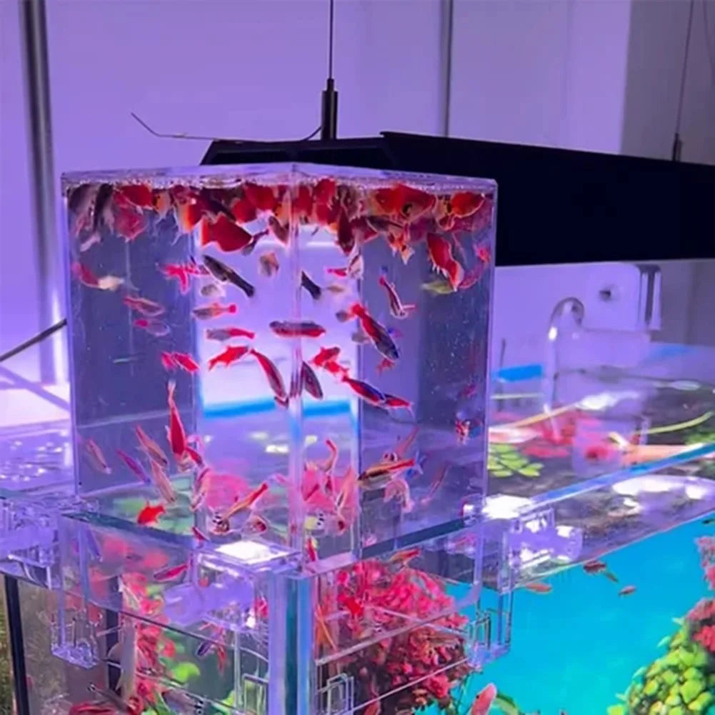 Negative Pressure Fish Tank Aerial Aquarium Extender Isolation Bowl, Clear White