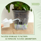 5Pcs Self-watering Pot Transparent Flowerpot with Reservoir Indoor Planter for Plants  Plastic Orchid Pot Home Bonsai Decor