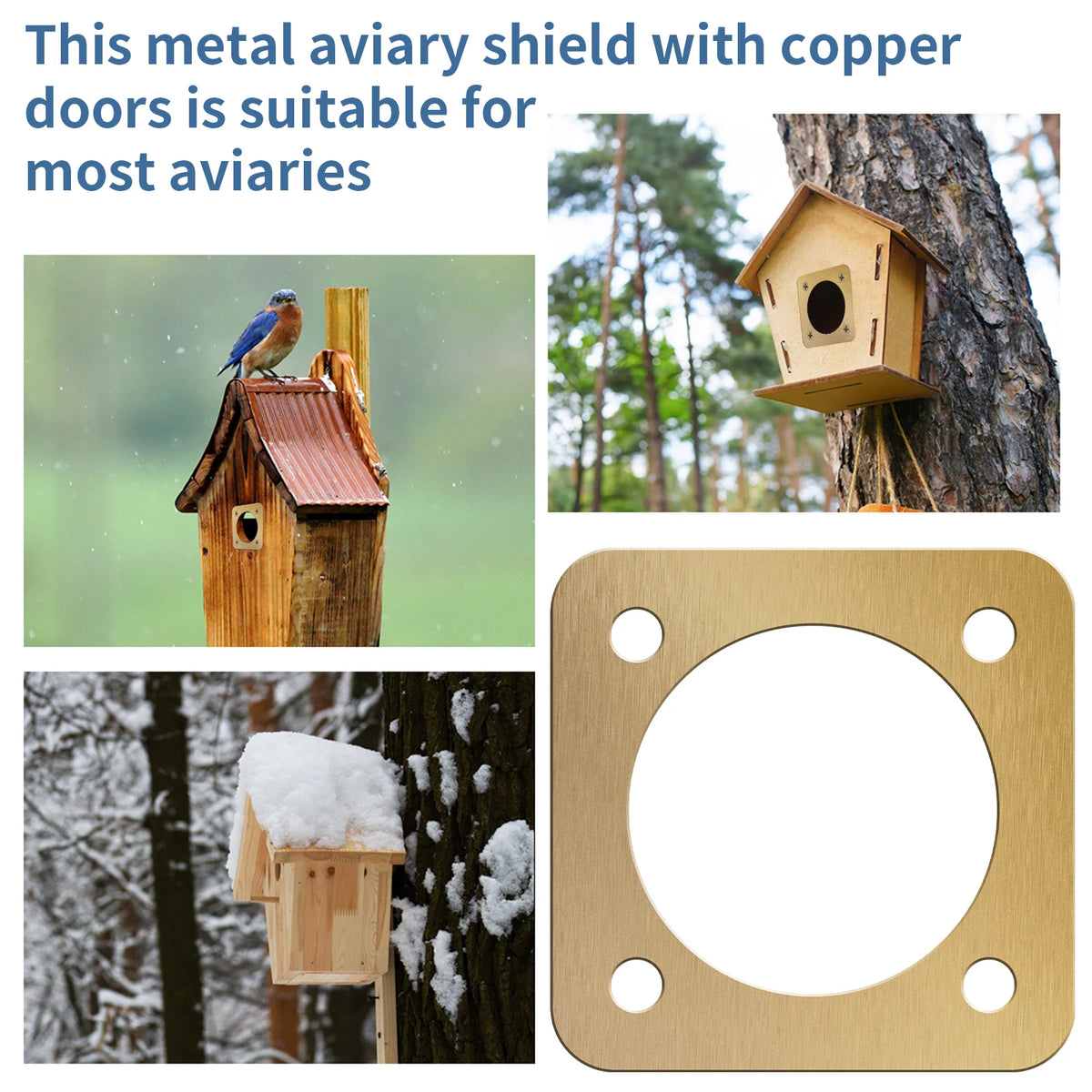 10Pcs Bird House Protective Cover 1/2 Inch Opening Rustproof Copper Bluebird House Predator Guard with Screw for Outdoor, Houses