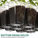 10Pcs Seed Starter Tray Mini Greenhouse Germination Kit with Humidity Dome Plant Seedling Growing Tray with Base Propagation Kit