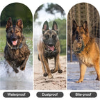 Dog Collar Waterproof Tactical Dog Collar with Control Handle Zinc Alloy Buckle Pte Collar for AirTag Medium Large Dogs Necklace
